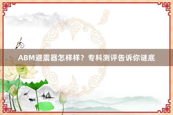 ABM避震器怎样样？专科测评告诉你谜底