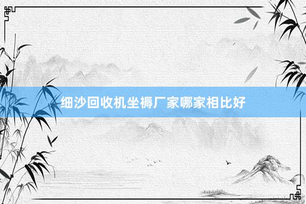 细沙回收机坐褥厂家哪家相比好