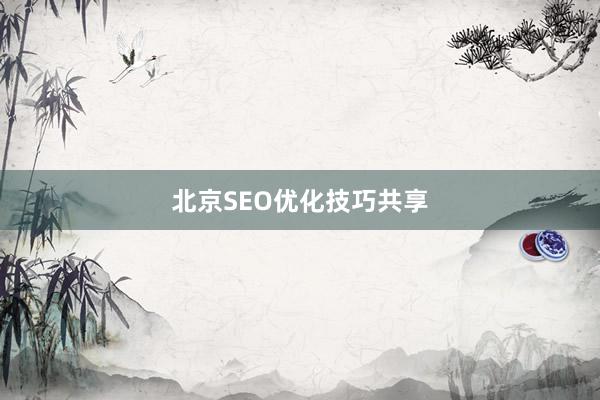 北京SEO优化技巧共享