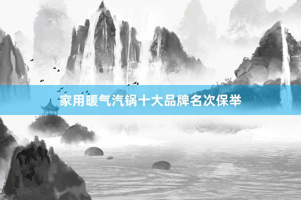 家用暖气汽锅十大品牌名次保举