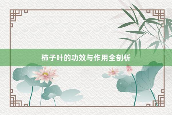 柿子叶的功效与作用全剖析